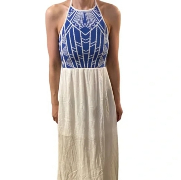 Jealous Tomato Dresses & Skirts - Jealous Tomato Blue and White Maxi Halter Dress